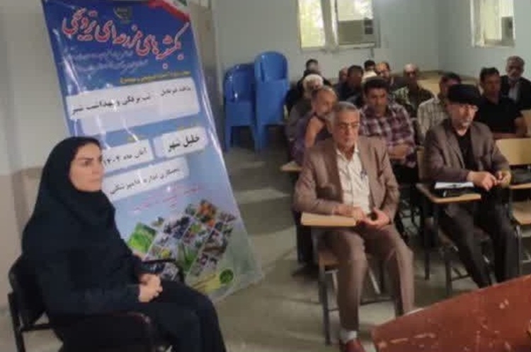 برگزاری ۵ دوره آموزشی مدیریت بیماری تب‌برفکی برای دامداران بهشهر